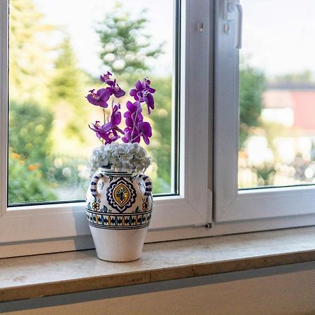 Jung 1 Lägenhet Neukirch  Exteriör bild